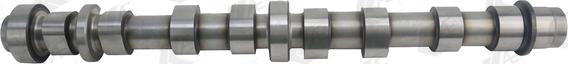 AE CAM944 - Camshaft onlydrive.pro