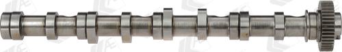 AE CAM961 - Camshaft onlydrive.pro