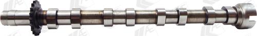 AE CAM975 - Camshaft onlydrive.pro