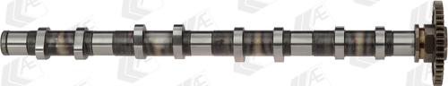 AE CAM978 - Camshaft onlydrive.pro