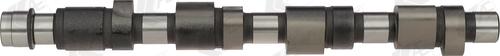 AE CAM648 - Camshaft onlydrive.pro