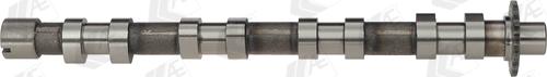 AE CAM748 - Camshaft onlydrive.pro