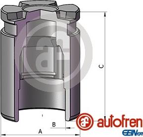 AUTOFREN SEINSA D025698 - Piston, brake caliper onlydrive.pro