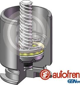 AUTOFREN SEINSA D02554LK - Kolvid,pidurisadul onlydrive.pro