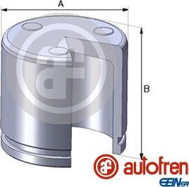 AUTOFREN SEINSA D02551 - Kolvid,pidurisadul onlydrive.pro