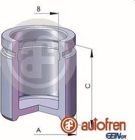 AUTOFREN SEINSA D02520 - Поршень, корпус скобы тормоза onlydrive.pro