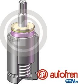 AUTOFREN SEINSA D025740K - Поршень, корпус скобы тормоза onlydrive.pro