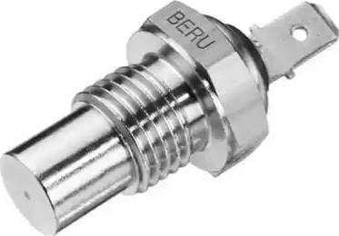 BorgWarner (BERU) ST048 - Sensor, coolant temperature onlydrive.pro