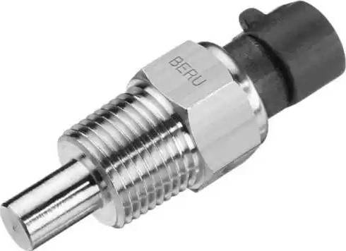 BorgWarner (BERU) ST069 - Sensor, coolant temperature onlydrive.pro