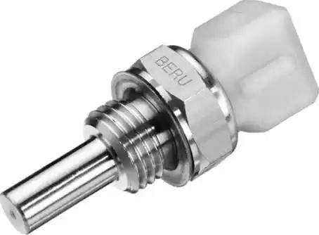 BorgWarner (BERU) ST060 - Sensor, coolant temperature onlydrive.pro