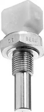 BorgWarner (BERU) ST013 - Sensor, coolant temperature onlydrive.pro