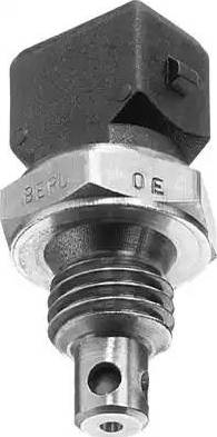 BorgWarner (BERU) ST036 - Sensor, intake air temperature onlydrive.pro