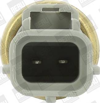 BorgWarner (BERU) ST240 - Sensor, coolant temperature onlydrive.pro