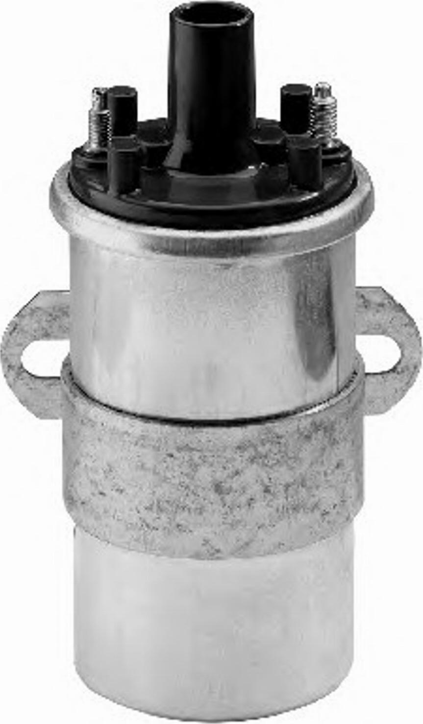 BorgWarner (BERU) 0 040 100 117 - Ignition Coil onlydrive.pro