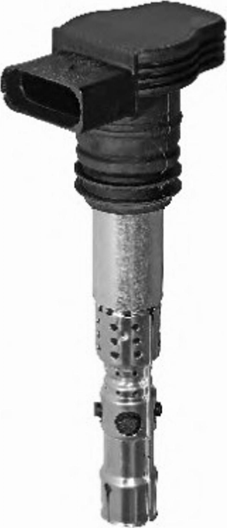 BorgWarner (BERU) 0040102043 - Aizdedzes spole onlydrive.pro