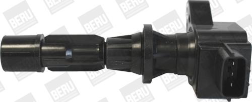 BorgWarner (BERU) ZS488 - Ignition Coil onlydrive.pro