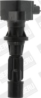 BorgWarner (BERU) ZS488 - Ignition Coil onlydrive.pro