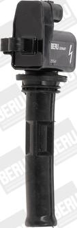 BorgWarner (BERU) ZS549 - Ignition Coil onlydrive.pro