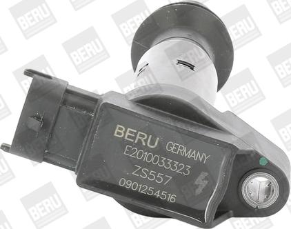 BorgWarner (BERU) ZS557 - Ignition Coil onlydrive.pro