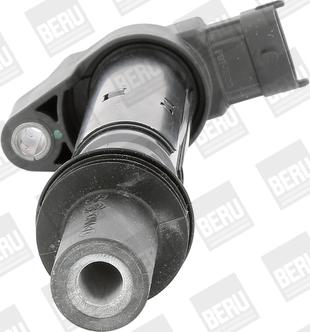 BorgWarner (BERU) ZS557 - Ignition Coil onlydrive.pro