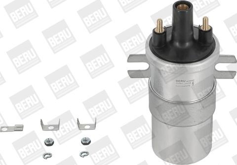 BorgWarner (BERU) ZS563 - Süütepool onlydrive.pro