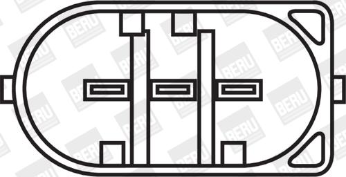 BorgWarner (BERU) ZS077 - Ignition Coil onlydrive.pro