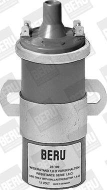 BorgWarner (BERU) ZS109 - Ignition Coil onlydrive.pro