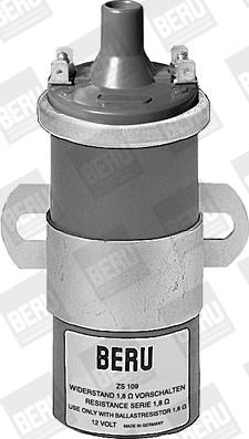 BorgWarner (BERU) ZS109 - Ignition Coil onlydrive.pro