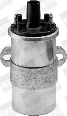 BorgWarner (BERU) ZS117 - Ignition Coil onlydrive.pro