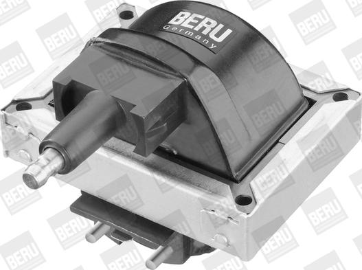 BorgWarner (BERU) ZS316 - Ignition Coil onlydrive.pro