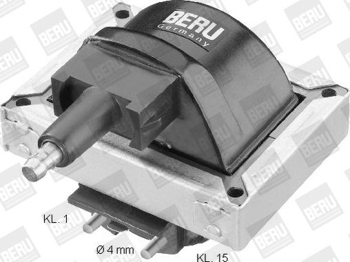 BorgWarner (BERU) ZS316 - Ignition Coil onlydrive.pro