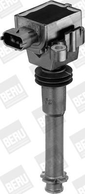 BorgWarner (BERU) ZS311 - Ignition Coil onlydrive.pro