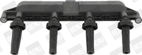 BorgWarner (BERU) ZS381 - Ignition Coil onlydrive.pro