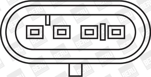 BorgWarner (BERU) ZS244 - Ignition Coil onlydrive.pro