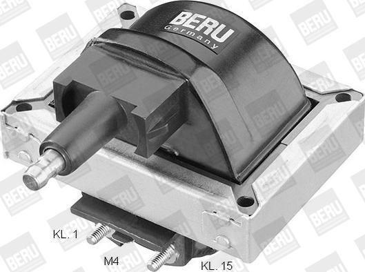 BorgWarner (BERU) ZS251 - Ignition Coil onlydrive.pro