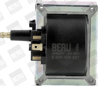 BorgWarner (BERU) ZS251 - Ignition Coil onlydrive.pro