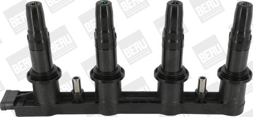 BorgWarner (BERU) ZSE198 - Ignition Coil onlydrive.pro