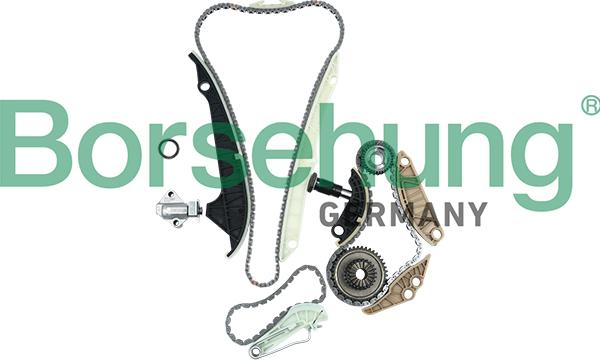 Borsehung B19209 - Timing Chain Kit onlydrive.pro