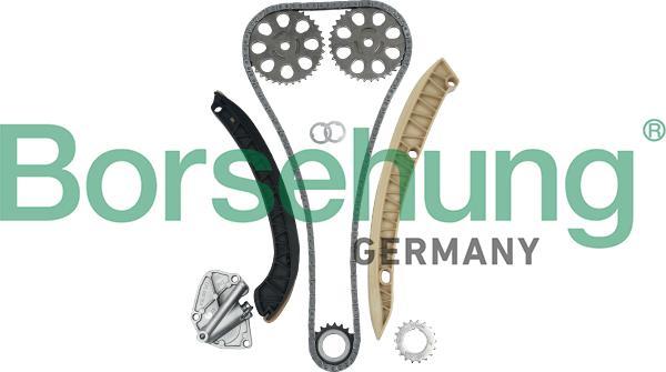 Borsehung B16295 - Timing Chain Kit onlydrive.pro