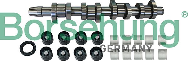 Borsehung B11307 - Camshaft Kit onlydrive.pro