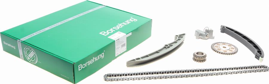 Borsehung B18960 - Timing Chain Kit onlydrive.pro