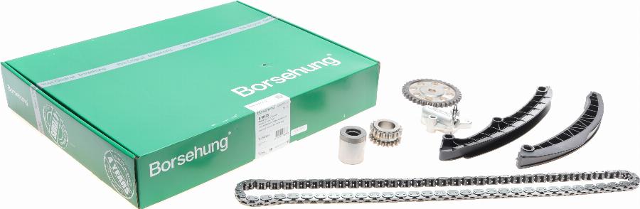 Borsehung B18475 - Timing Chain Kit onlydrive.pro