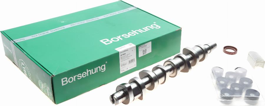 Borsehung B18664 - Camshaft Kit onlydrive.pro