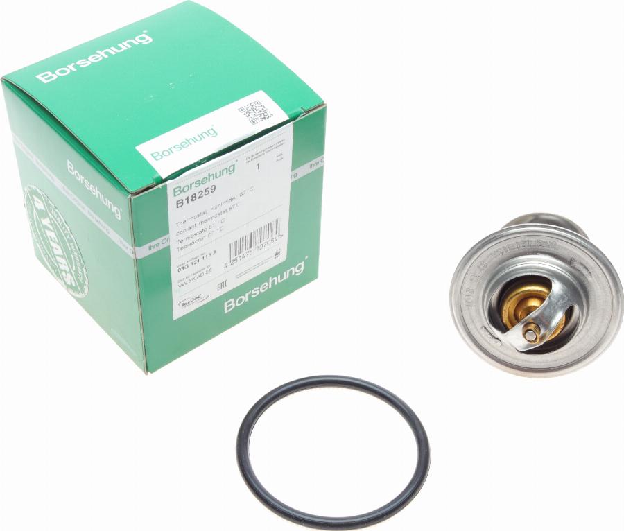 Borsehung B18259 - Coolant thermostat / housing onlydrive.pro