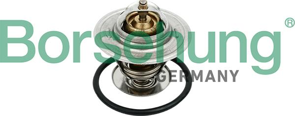 Borsehung B18259 - Coolant thermostat / housing onlydrive.pro
