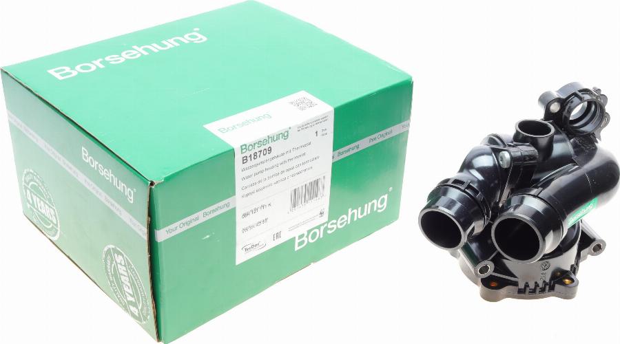 Borsehung B18709 - Housing, water pump onlydrive.pro