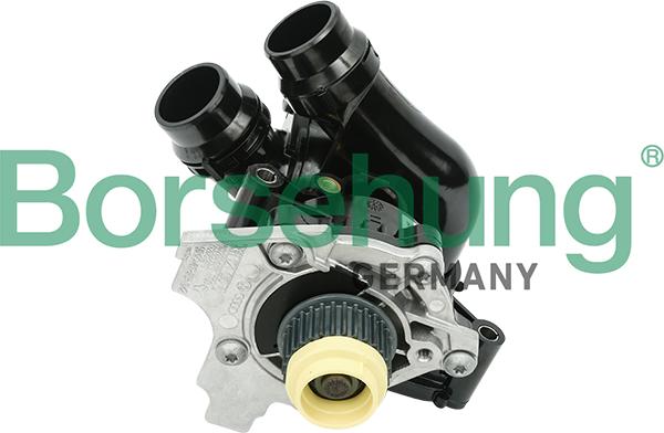 Borsehung B18736 - Water Pump onlydrive.pro