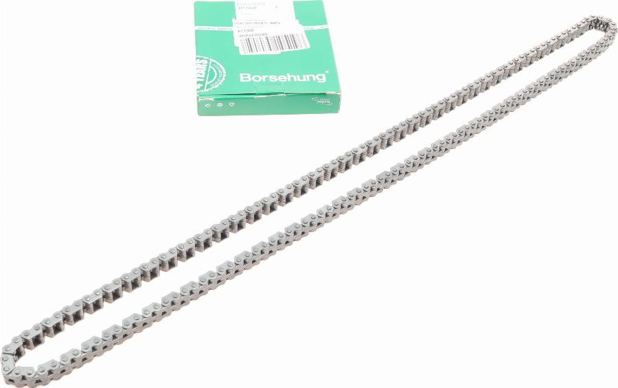 Borsehung B17908 - Timing Chain onlydrive.pro