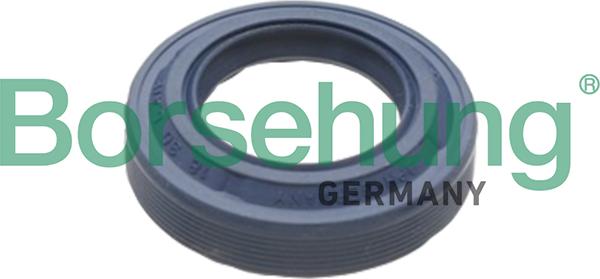 Borsehung B17828 - Shaft Seal, differential onlydrive.pro