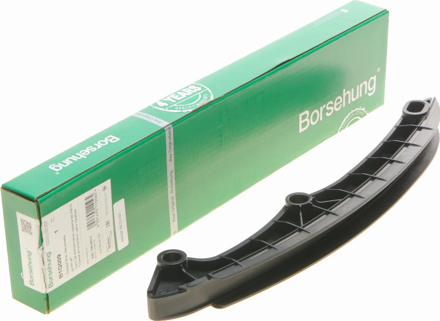 Borsehung B1G009 - Guides, timing chain onlydrive.pro